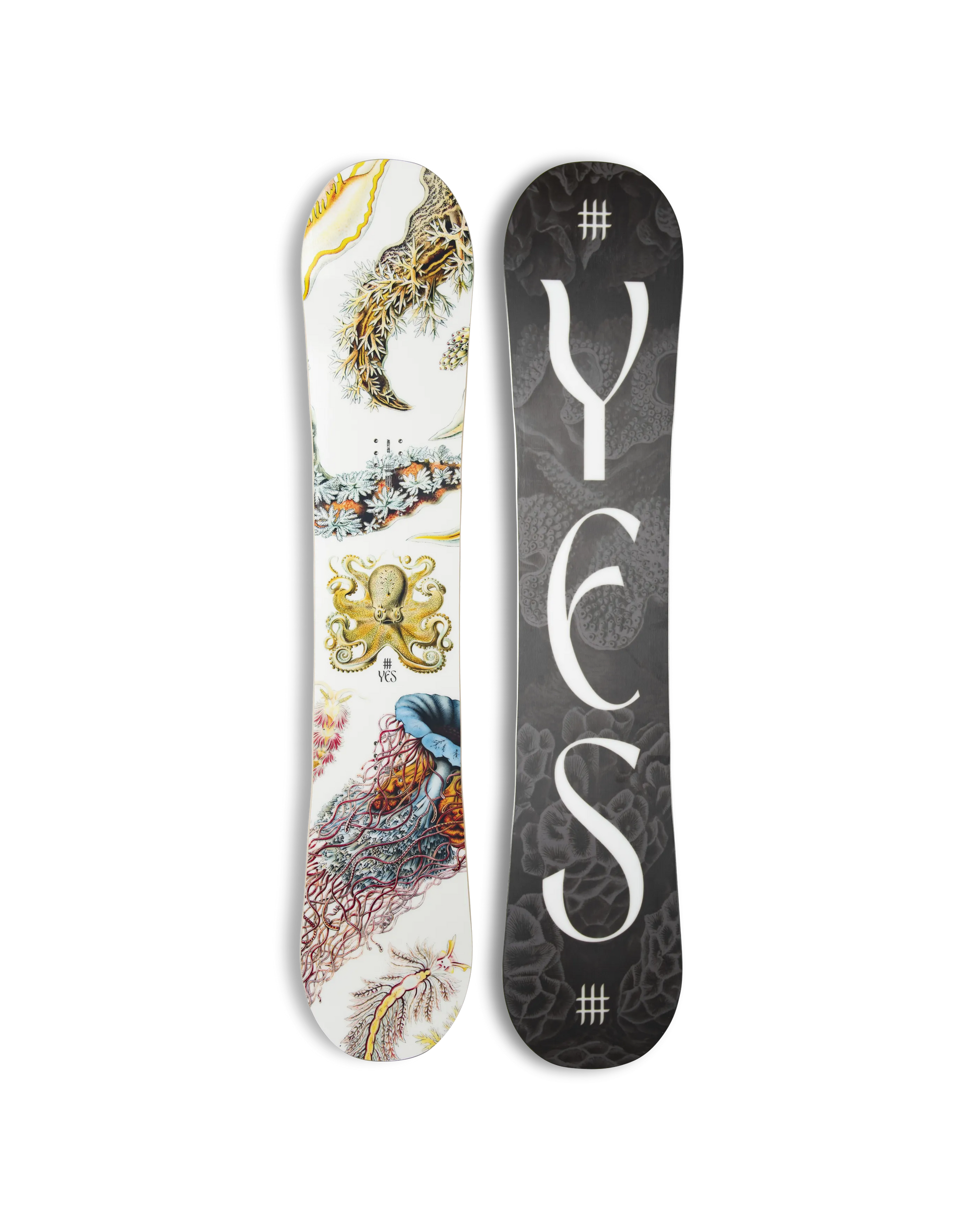 Women's Hell Yes Snowboard Sporting Goods in White